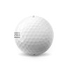 Titleist Pro V1 AIM White Golf Balls